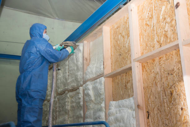 Best Best Insulation Companies  in USA